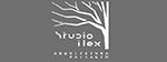 Logo da Studio Ilex