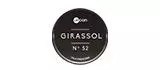 Logotipo do Upcon Girassol