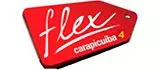 Logotipo do Flex Carapicuíba 4