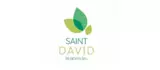 Logotipo do Saint David
